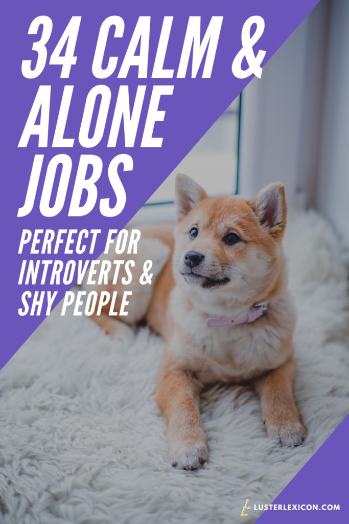 34 CALM & ALONE JOBS PERFECT FOR INTROVERTS & SHY PEOPLE